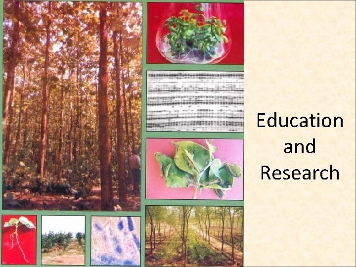 Education and Research  Education and Research