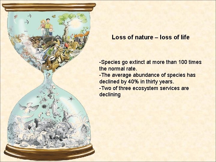 Loss of nature – loss of life -Species go extinct at more than 100