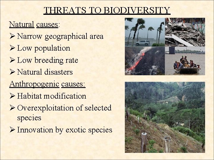 THREATS TO BIODIVERSITY Natural causes: Ø Narrow geographical area Ø Low population Ø Low