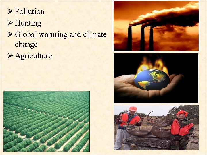Ø Pollution Ø Hunting Ø Global warming and climate change Ø Agriculture  Ø Pollution Ø Hunting Ø Global warming and climate change Ø Agriculture
