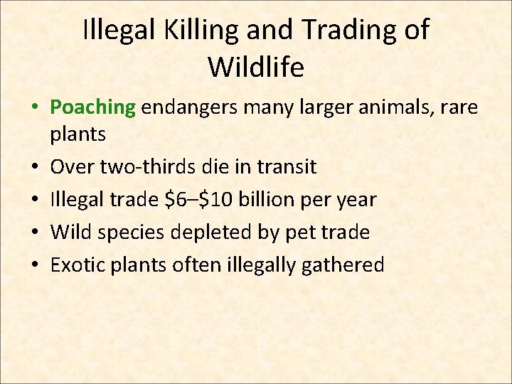 Illegal Killing and Trading of Wildlife • Poaching endangers many larger animals, rare plants