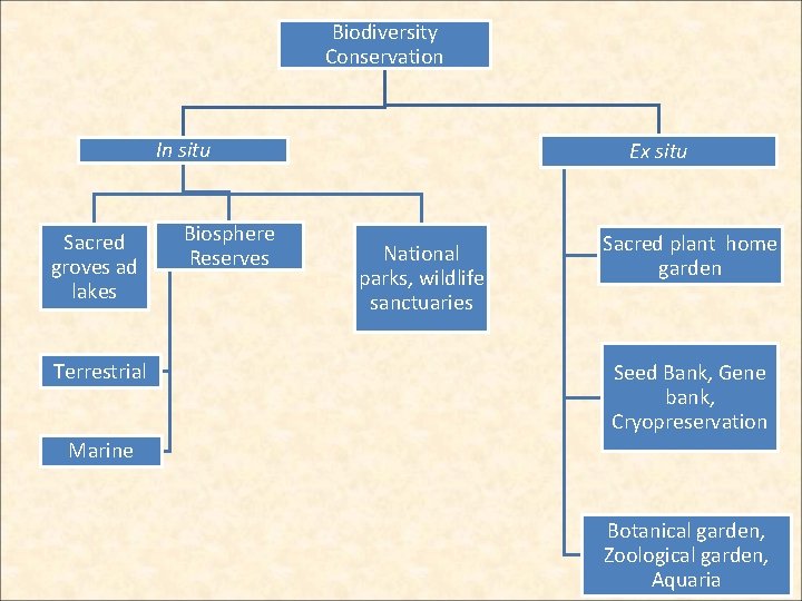 Biodiversity Conservation In situ Sacred groves ad lakes Terrestrial Biosphere Reserves Ex situ National