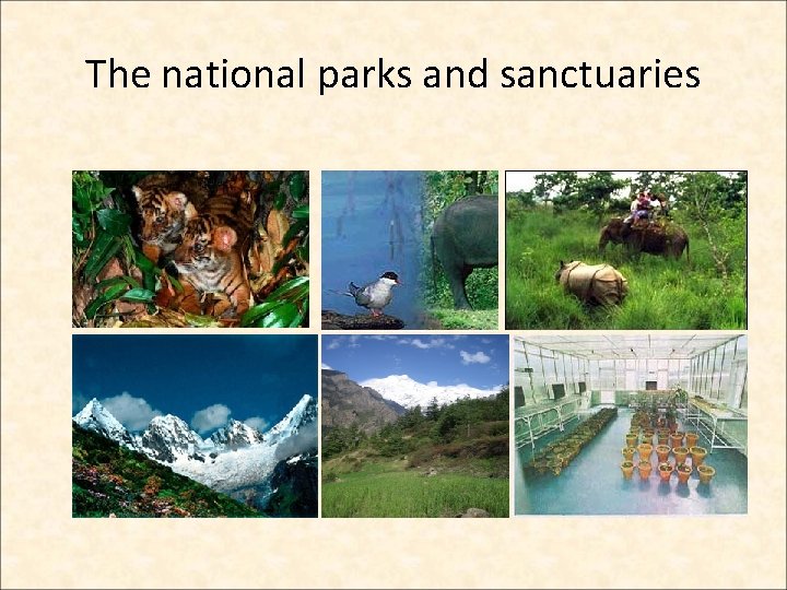 The national parks and sanctuaries  The national parks and sanctuaries