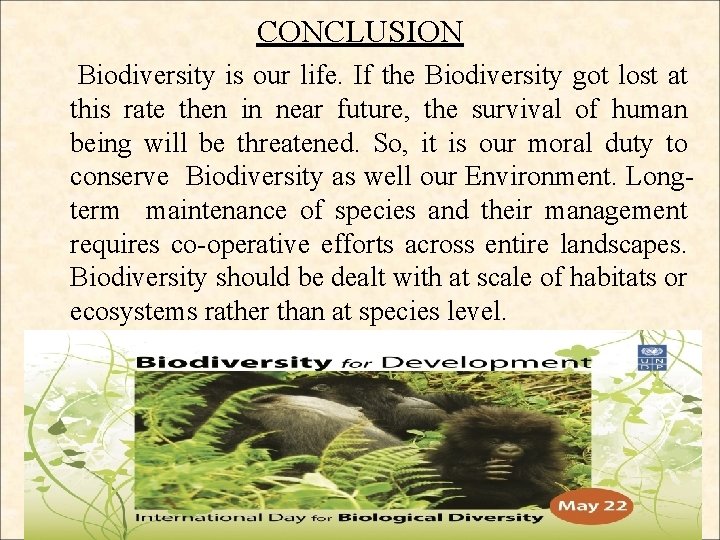 CONCLUSION Biodiversity is our life. If the Biodiversity got lost at this rate then