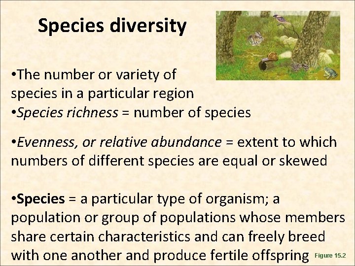 Species diversity • The number or variety of species in a particular region •