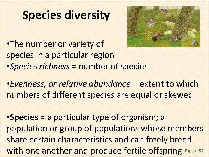 Species diversity • The number or variety of species in a particular region • Species diversity • The number or variety of species in a particular region •