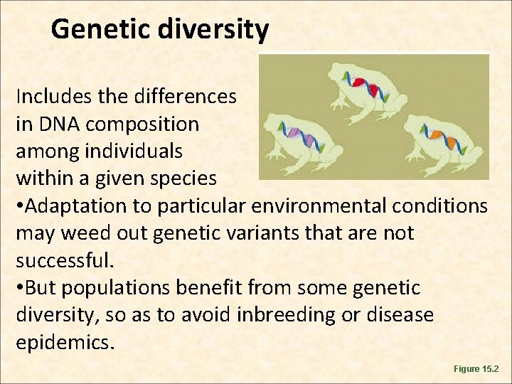 Genetic diversity Includes the differences in DNA composition among individuals within a given species