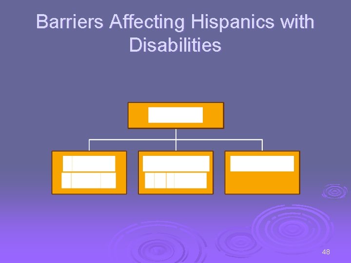 Barriers Affecting Hispanics with Disabilities 48 