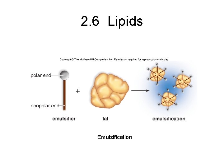 2. 6 Lipids Emulsification 