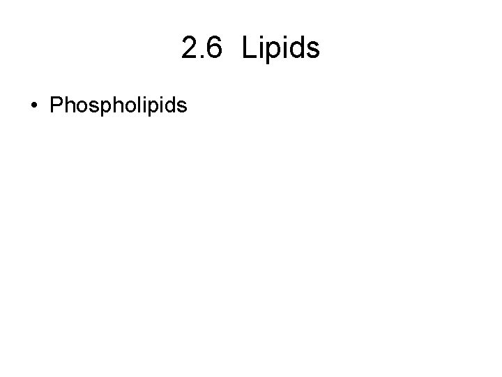 2. 6 Lipids • Phospholipids 