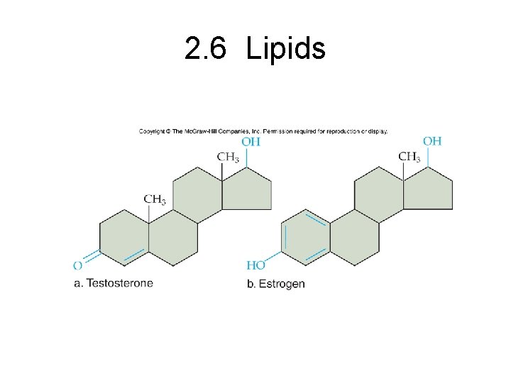 2. 6 Lipids 