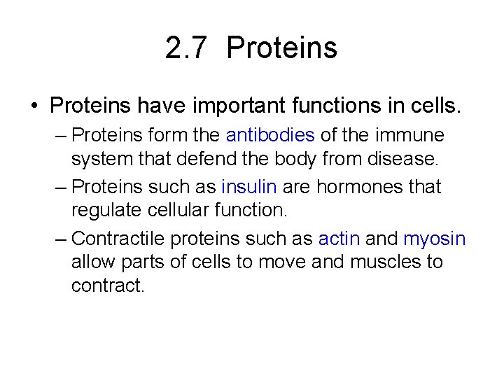 2. 7 Proteins • Proteins have important functions in cells. – Proteins form the