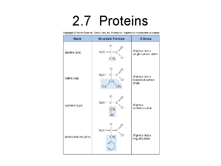 2. 7 Proteins 