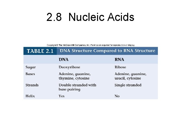 2. 8 Nucleic Acids 