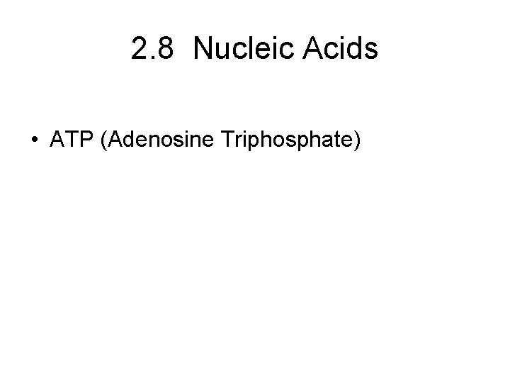 2. 8 Nucleic Acids • ATP (Adenosine Triphosphate) 