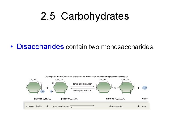 2. 5 Carbohydrates • Disaccharides contain two monosaccharides. 