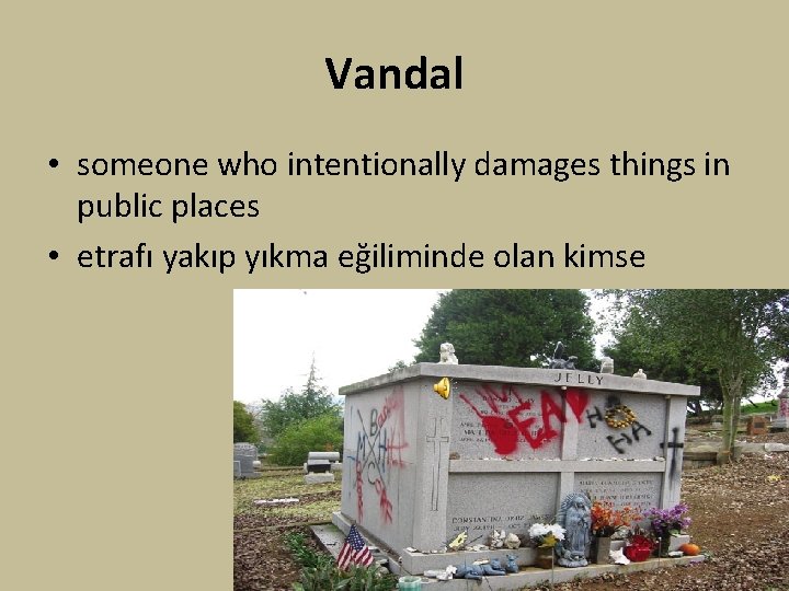 Vandal • someone who intentionally damages things in public places • etrafı yakıp yıkma