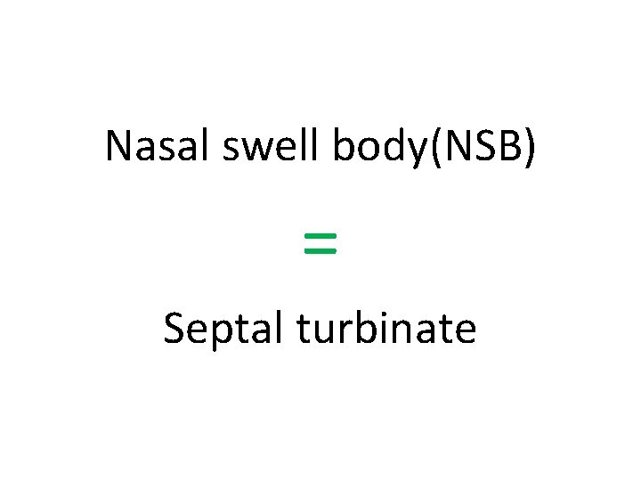 Nasal swell body(NSB) = Septal turbinate 