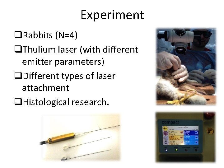 Experiment q. Rabbits (N=4) q. Thulium laser (with different emitter parameters) q. Different types