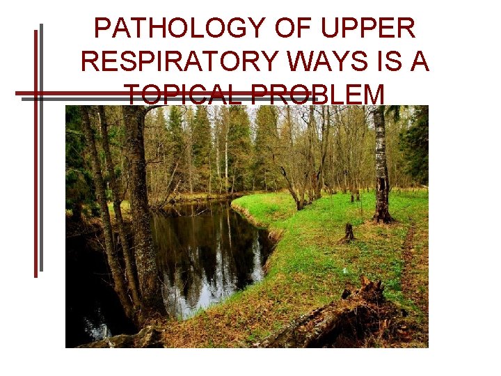 PATHOLOGY OF UPPER RESPIRATORY WAYS IS A TOPICAL PROBLEM 