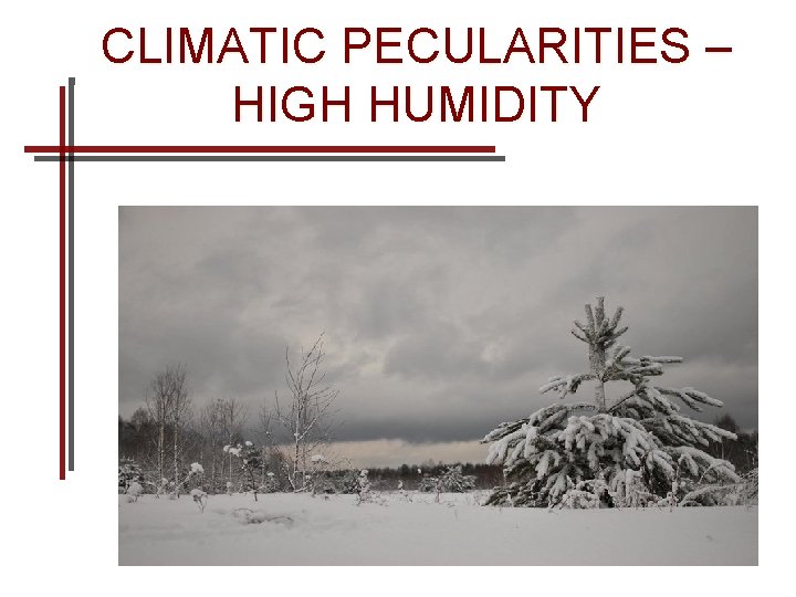 CLIMATIC PECULARITIES – HIGH HUMIDITY 