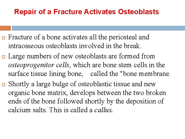 Repair of a Fracture Activates Osteoblasts Fracture of a bone activates all the periosteal