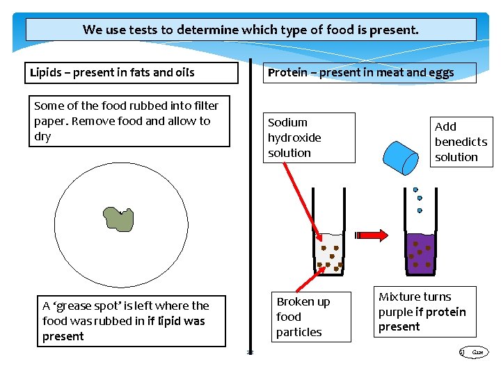 We use tests to determine which type of food is present. Lipids – present