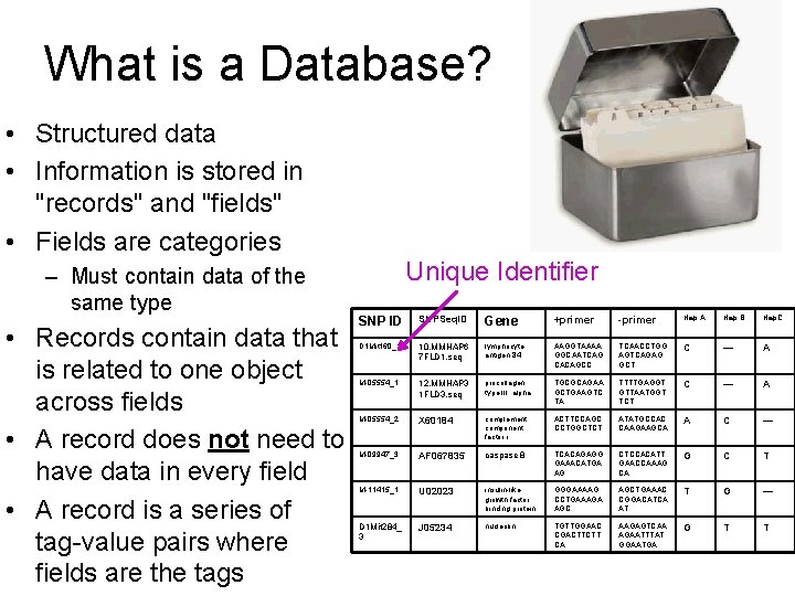 What is a Database? • Structured data • Information is stored in "records" and