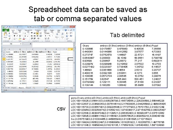 Spreadsheet data can be saved as tab or comma separated values Tab delimited csv