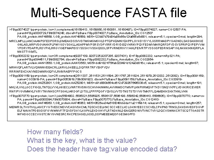 Multi-Sequence FASTA file >FBpp 0074027 type=protein; loc=X: complement(16159413. . 16159860, 16160061. . 16160497); ID=FBpp