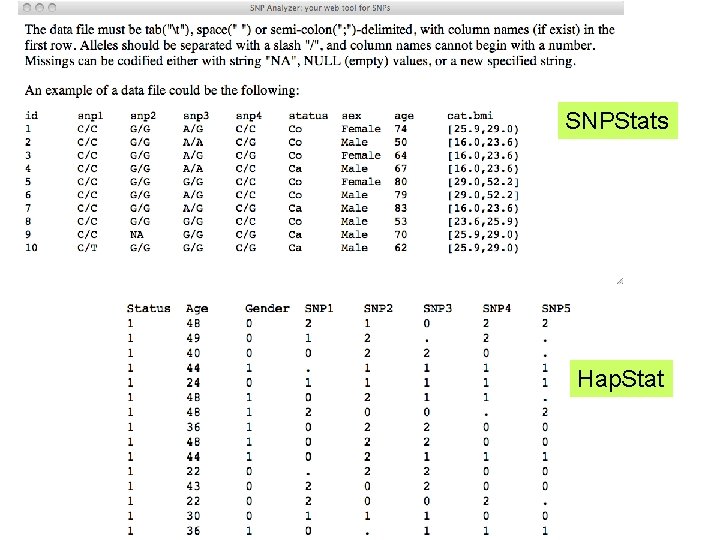 SNPStats Hap. Stat 