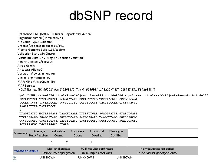 db. SNP record Reference SNP (ref. SNP) Cluster Report: rs 1042574 Organism: human (Homo