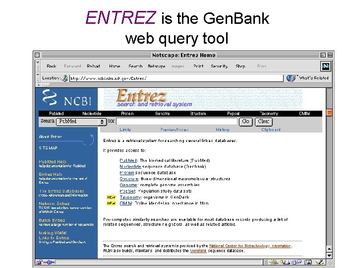 ENTREZ is the Gen. Bank web query tool 