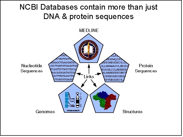 NCBI Databases contain more than just DNA & protein sequences 
