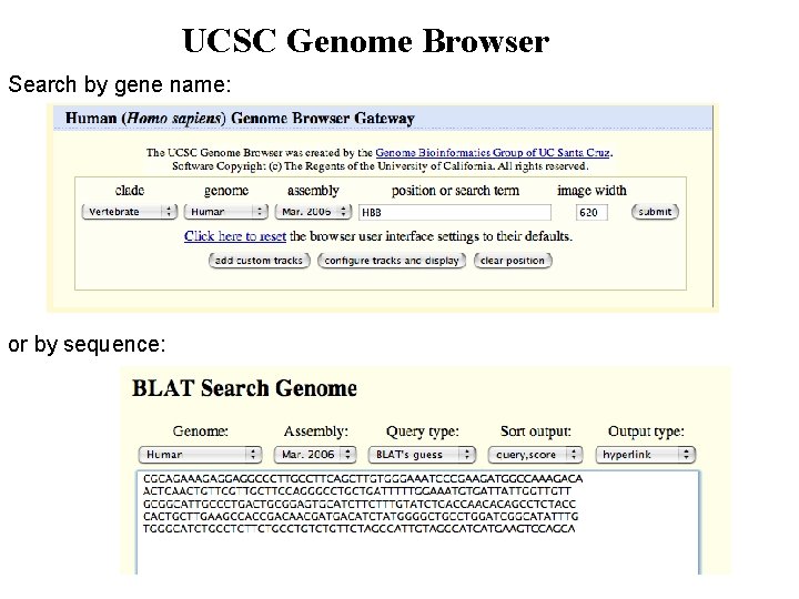 UCSC Genome Browser Search by gene name: or by sequence: 