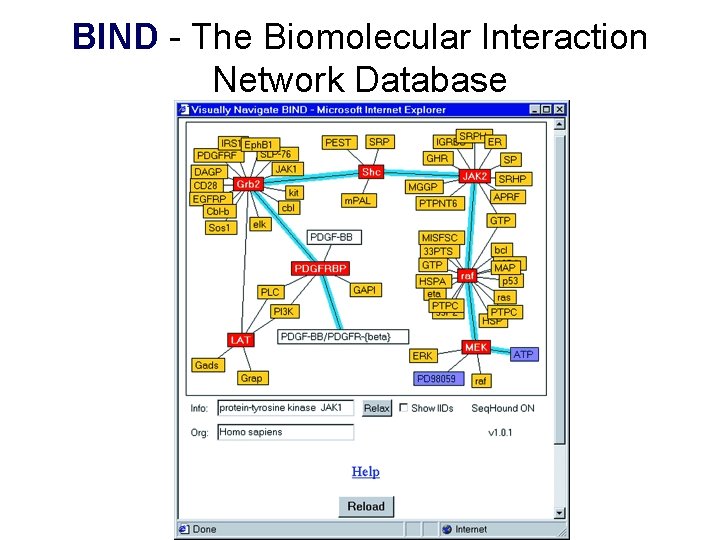 BIND - The Biomolecular Interaction Network Database 