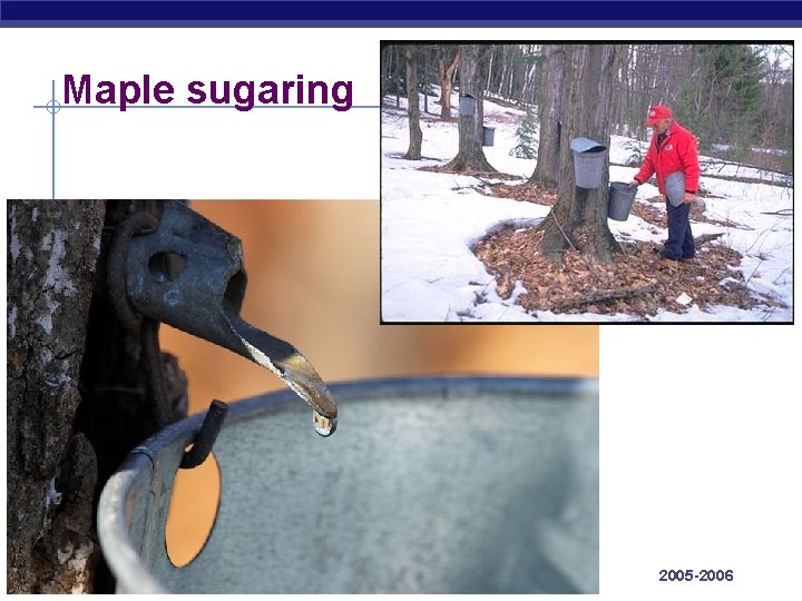 Maple sugaring AP Biology 2005 -2006 