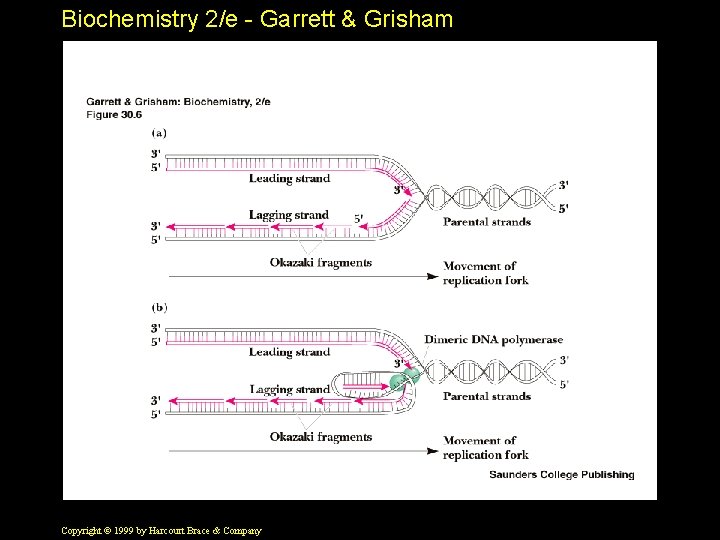 Biochemistry 2/e - Garrett & Grisham Copyright © 1999 by Harcourt Brace & Company