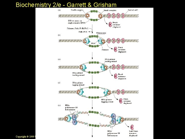 Biochemistry 2/e - Garrett & Grisham Copyright © 1999 by Harcourt Brace & Company