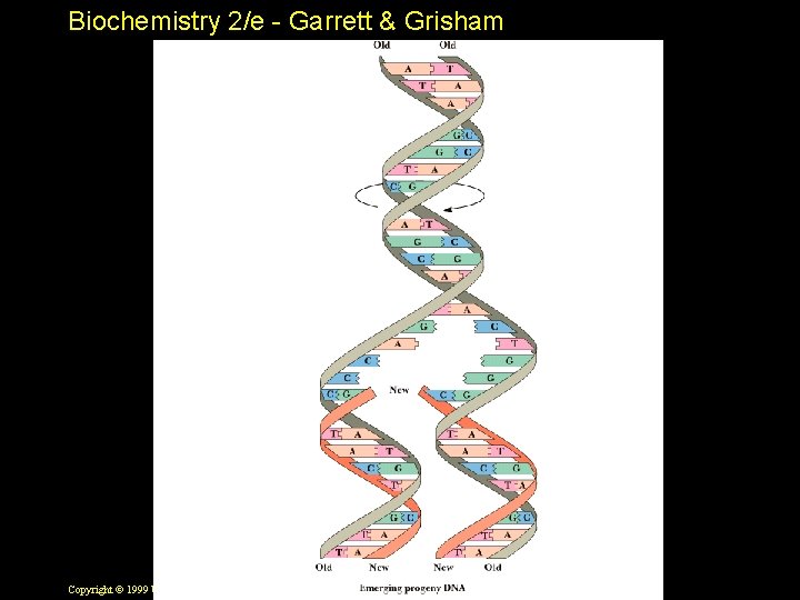 Biochemistry 2/e - Garrett & Grisham Copyright © 1999 by Harcourt Brace & Company