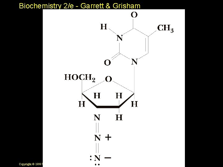 Biochemistry 2/e - Garrett & Grisham Copyright © 1999 by Harcourt Brace & Company