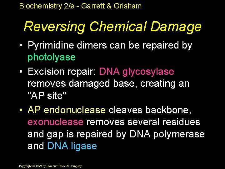 Biochemistry 2/e - Garrett & Grisham Reversing Chemical Damage • Pyrimidine dimers can be