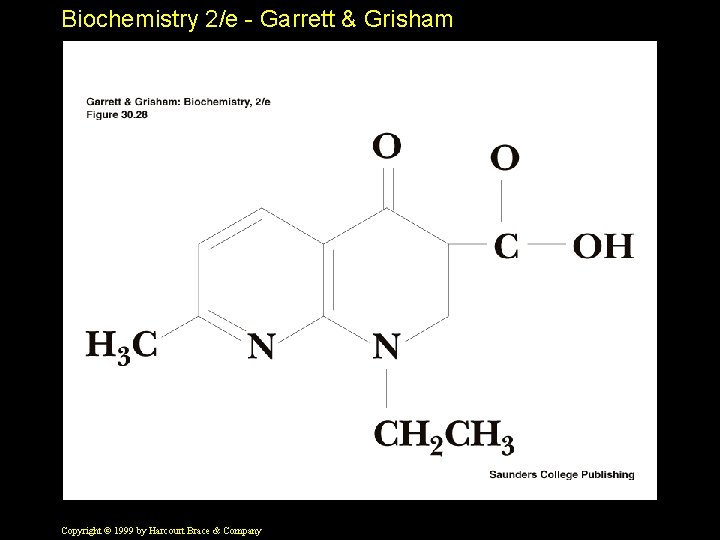 Biochemistry 2/e - Garrett & Grisham Copyright © 1999 by Harcourt Brace & Company