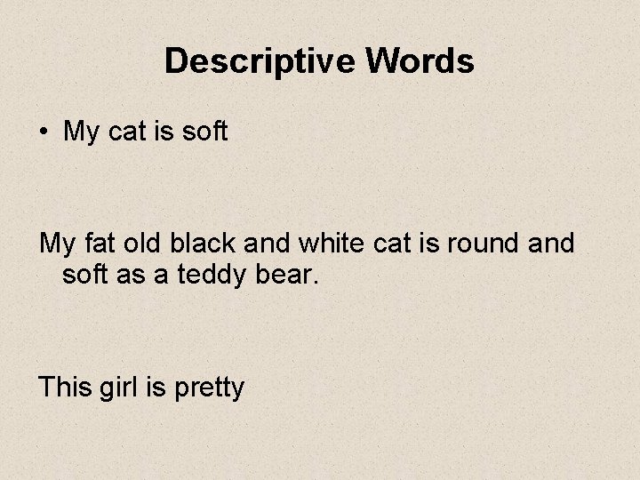 Descriptive Words • My cat is soft My fat old black and white cat