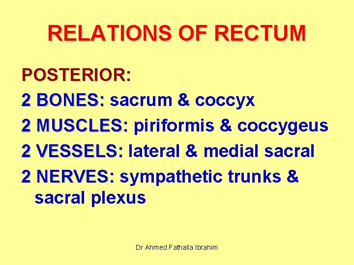 RELATIONS OF RECTUM POSTERIOR: 2 BONES: sacrum & coccyx 2 MUSCLES: piriformis & coccygeus