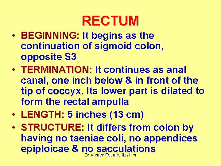 RECTUM • BEGINNING: It begins as the continuation of sigmoid colon, opposite S 3