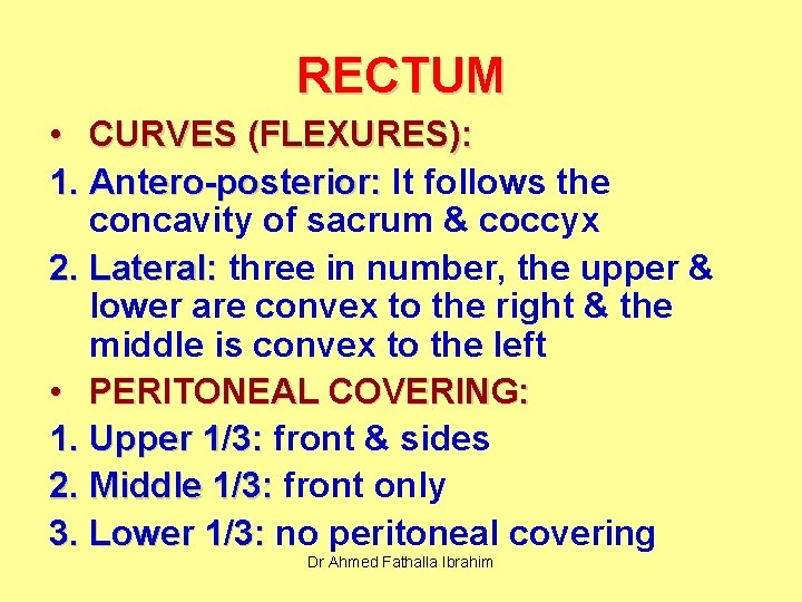 RECTUM • CURVES (FLEXURES): 1. Antero-posterior: It follows the concavity of sacrum & coccyx