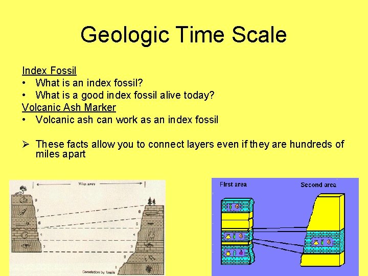 Geologic Time Scale Index Fossil • What is an index fossil? • What is