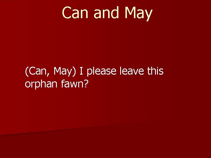 Can and May (Can, May) I please leave this orphan fawn? 