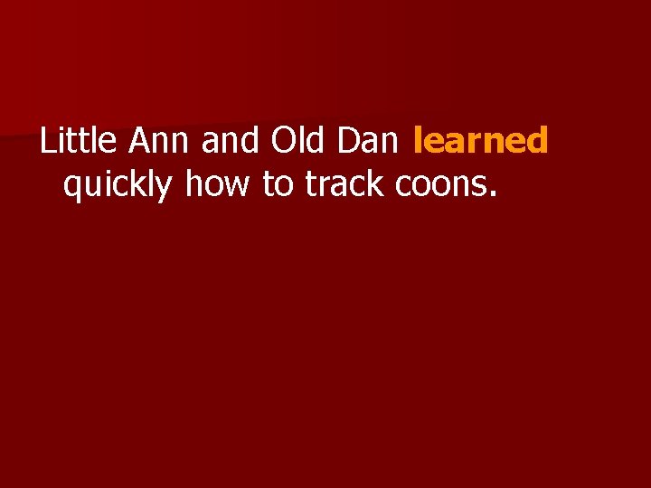 Little Ann and Old Dan learned quickly how to track coons. 